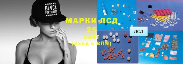 прущие грибы Липки