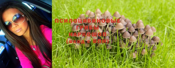 прущие грибы Липки