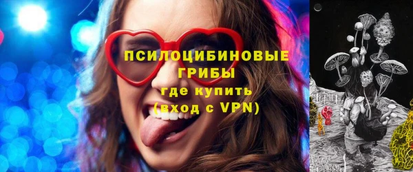 прущие грибы Липки